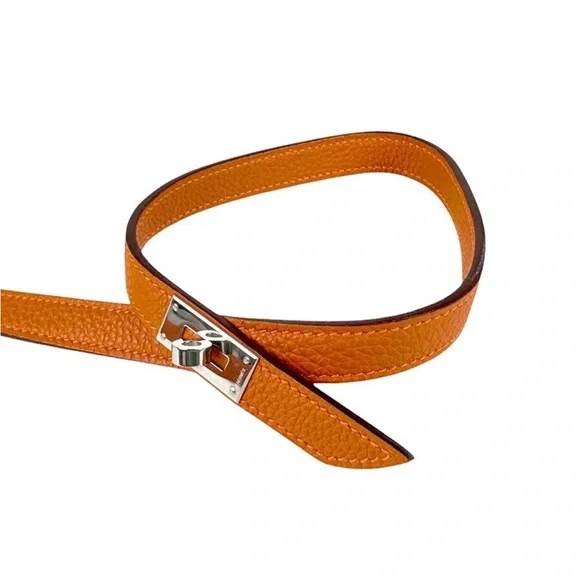 Hermes Orange Pet Collar and Leash Set - Picture 11 of 16